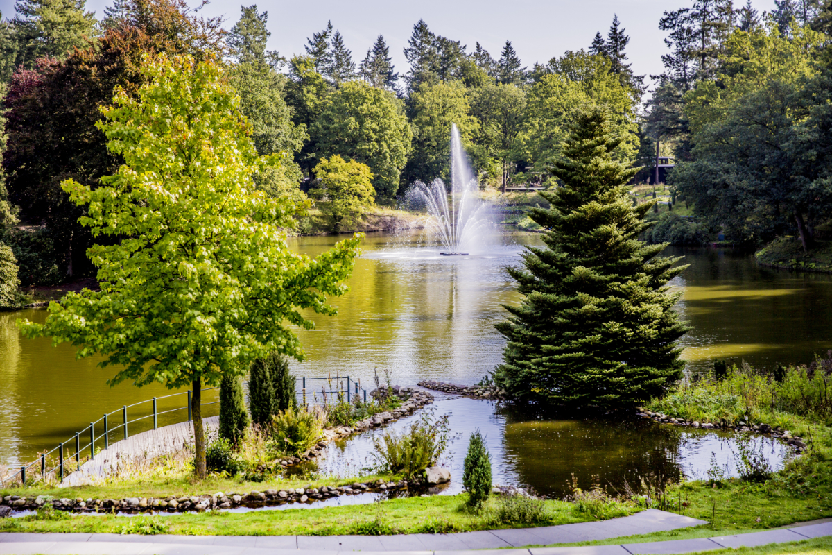 Park Berg en Bos vijver met fontein
